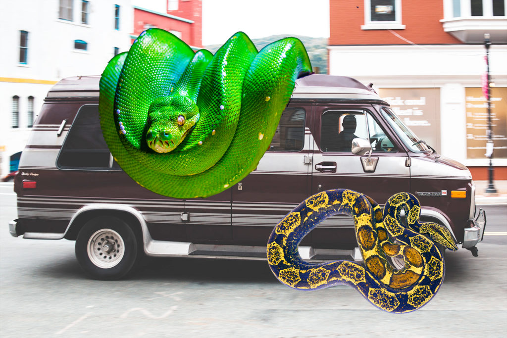 Picture of 1970s van with two large snakes photoshopped on it.